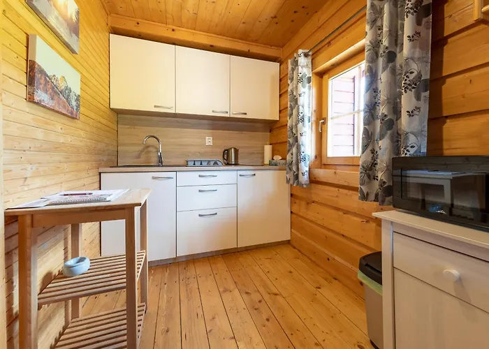 Snowflakes V Snowpark * Lučivná